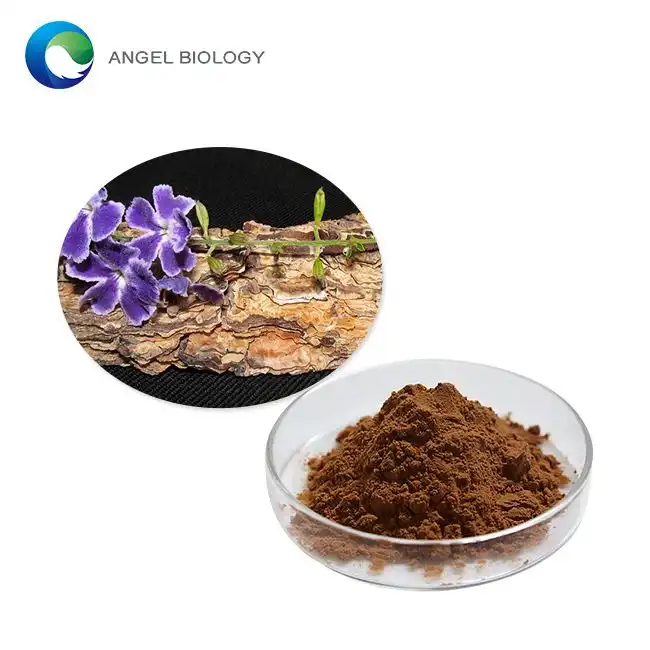 Pine Bark Extract Powder